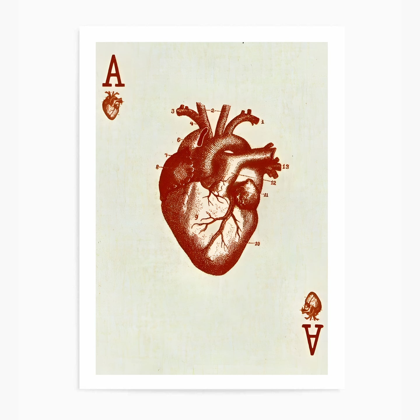 Heart Ace Card | Wall Art Print