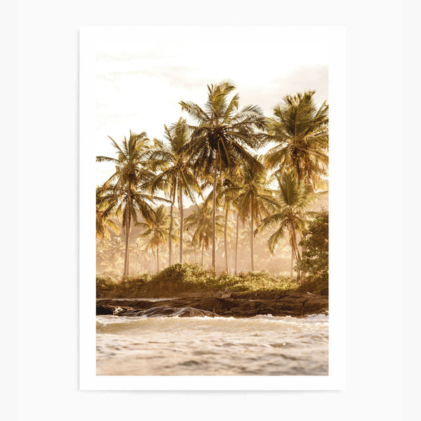 Warm Palm Trees | Art Print