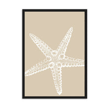 Load image into Gallery viewer, Starfish Neutral I | Wall Art
