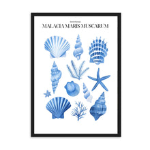 Load image into Gallery viewer, Shells Blue II | Wall Art
