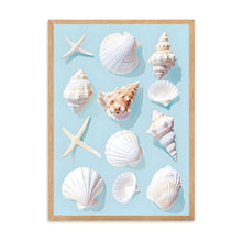 Load image into Gallery viewer, Seashells Blue | Wall Art
