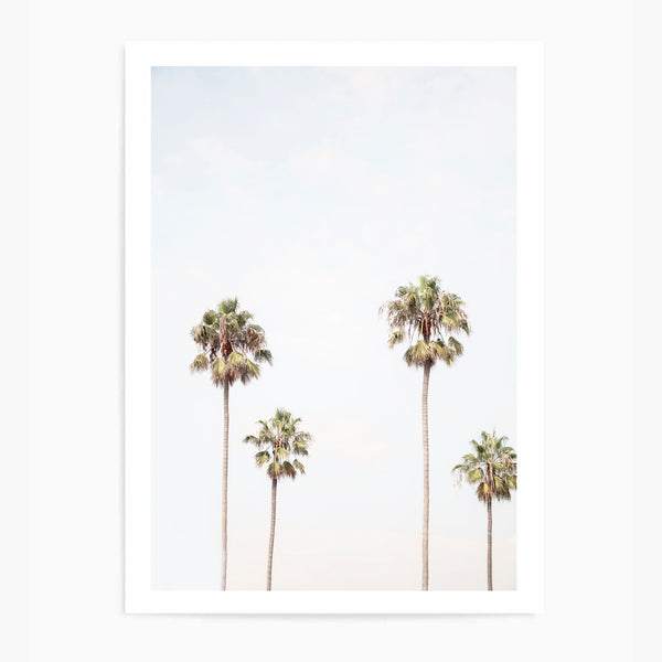 Four Palm Trees | Art Print