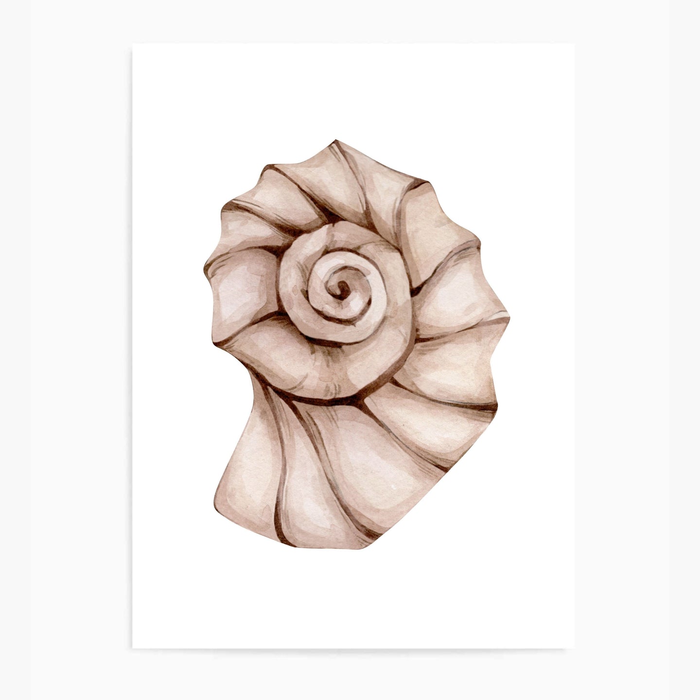 Seashell Neutral Tones II | Wall Art