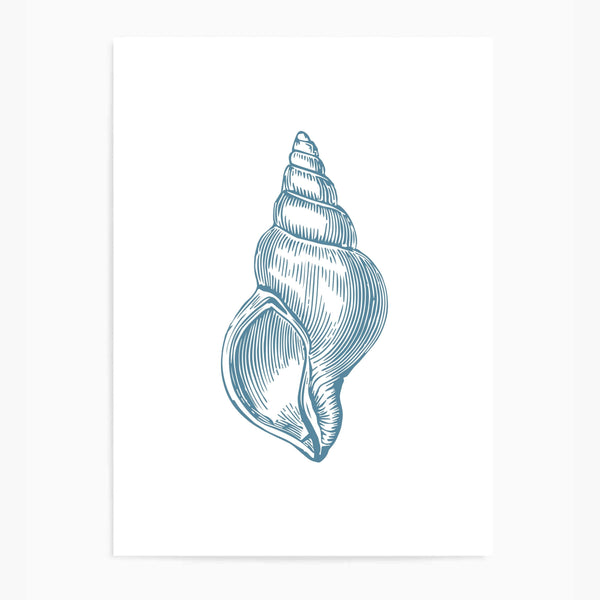 Seashell Blue I | Wall Art