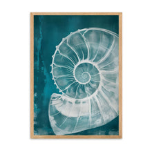 Load image into Gallery viewer, Big Shell | Wall Art
