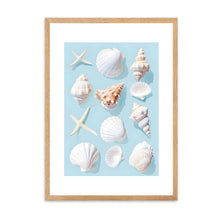 Load image into Gallery viewer, Seashells Blue | Wall Art
