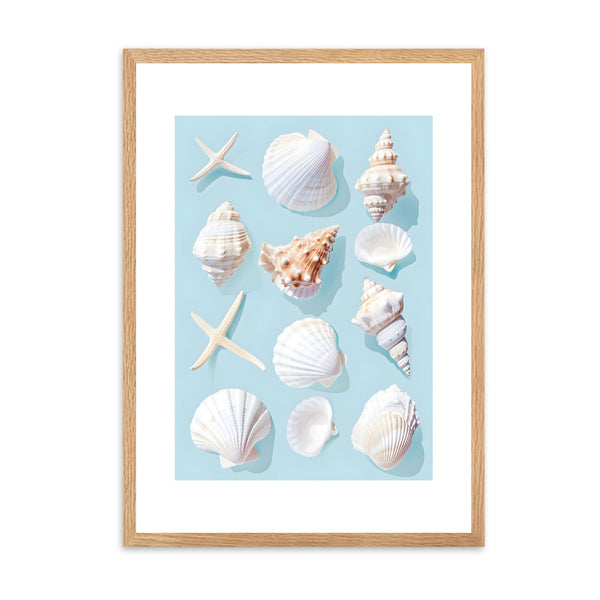 Seashells Blue | Wall Art