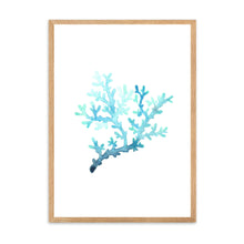 Load image into Gallery viewer, Coral Blue | Wall Art
