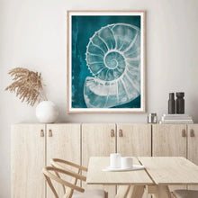 Load image into Gallery viewer, Big Shell | Wall Art
