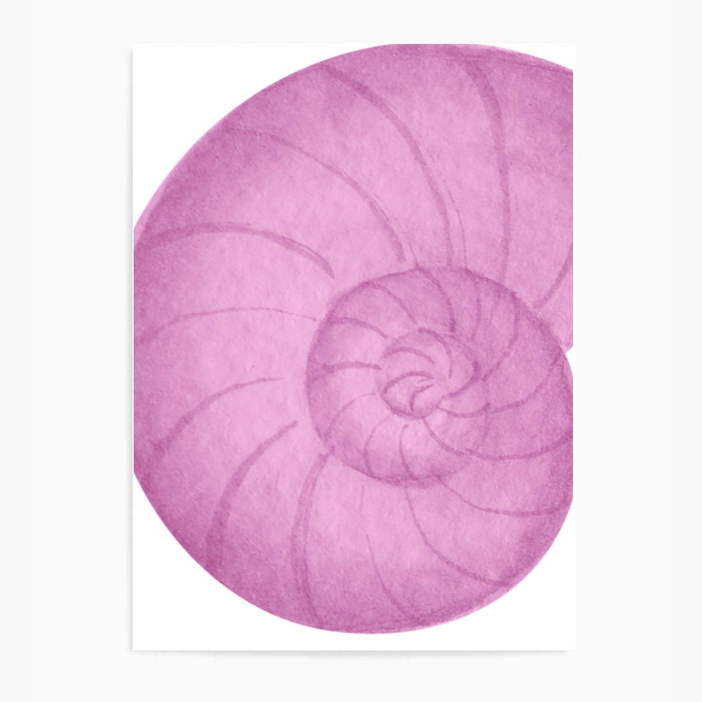 Seashell Pink I | Wall Art