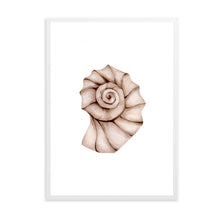 Load image into Gallery viewer, Seashell Neutral Tones II | Wall Art
