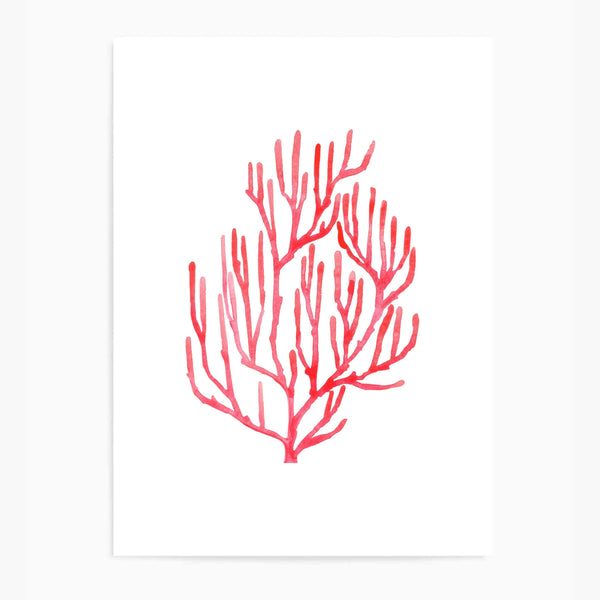 Coral Red | Wall Art