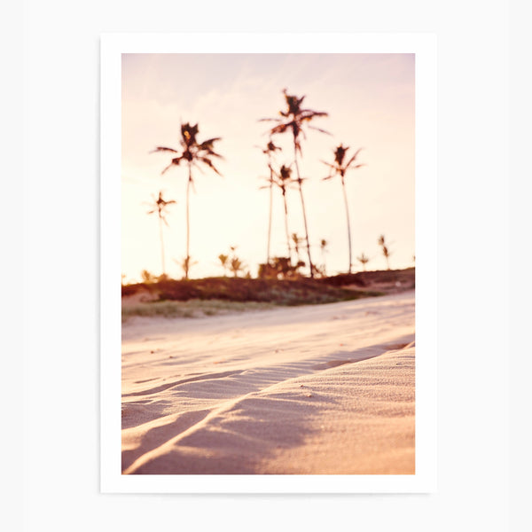 Sunsets & Palm Trees | Art Print