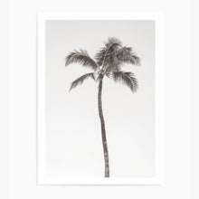 Load image into Gallery viewer, Palm Tree Single | Art Print
