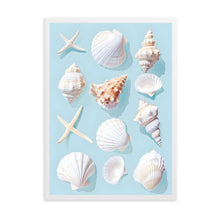 Load image into Gallery viewer, Seashells Blue | Wall Art
