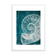 Load image into Gallery viewer, Big Shell | Wall Art
