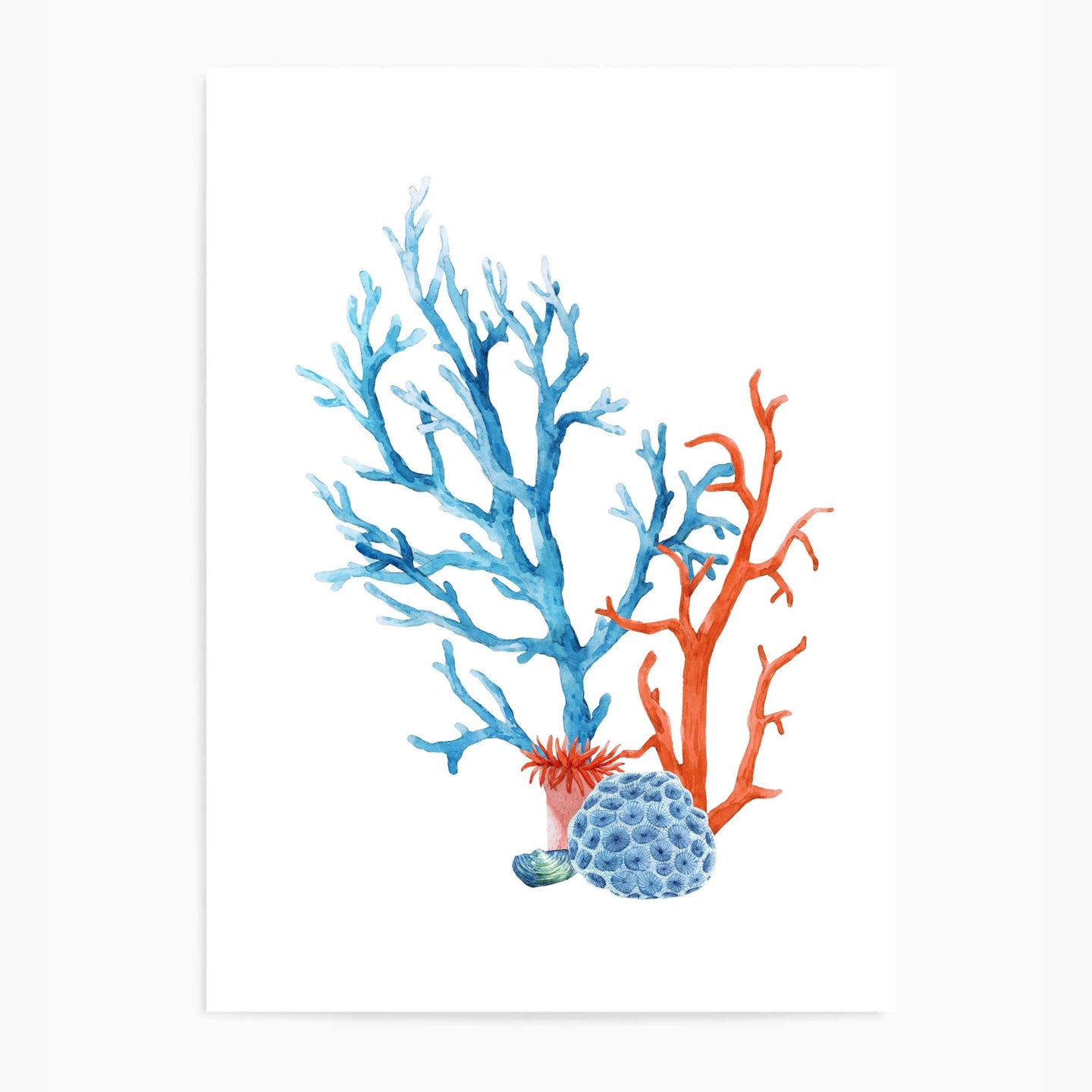 Coral Colourful II | Wall Art