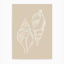 Load image into Gallery viewer, Seashells Neutral III | Wall Art
