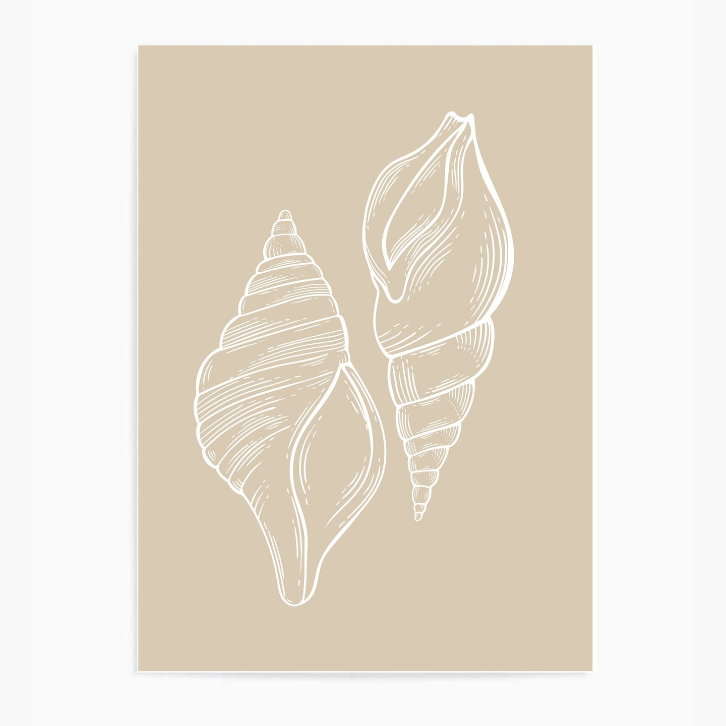 Seashells Neutral III | Wall Art