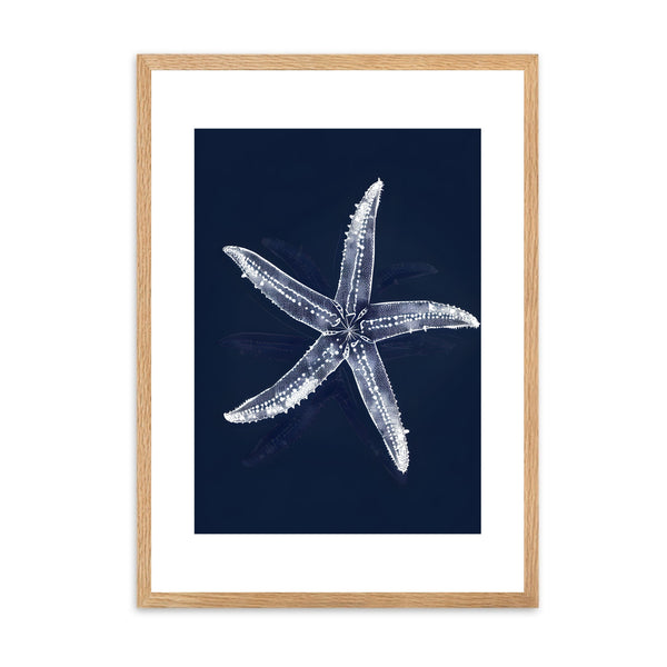 Starfish Ocean Blue II | Wall Art