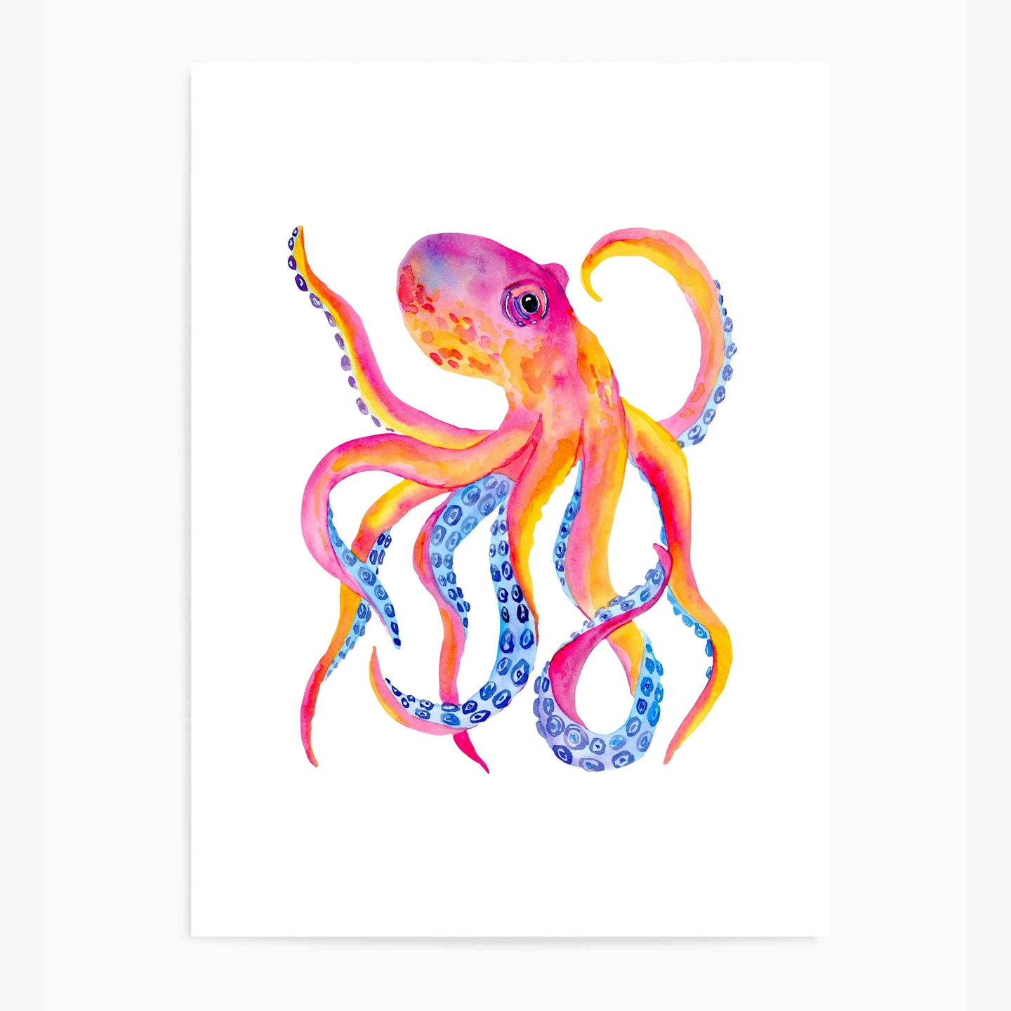 Octopus Colourful | Wall Art