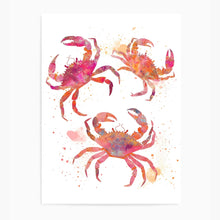 Load image into Gallery viewer, Colourful Crabs | Wall Art
