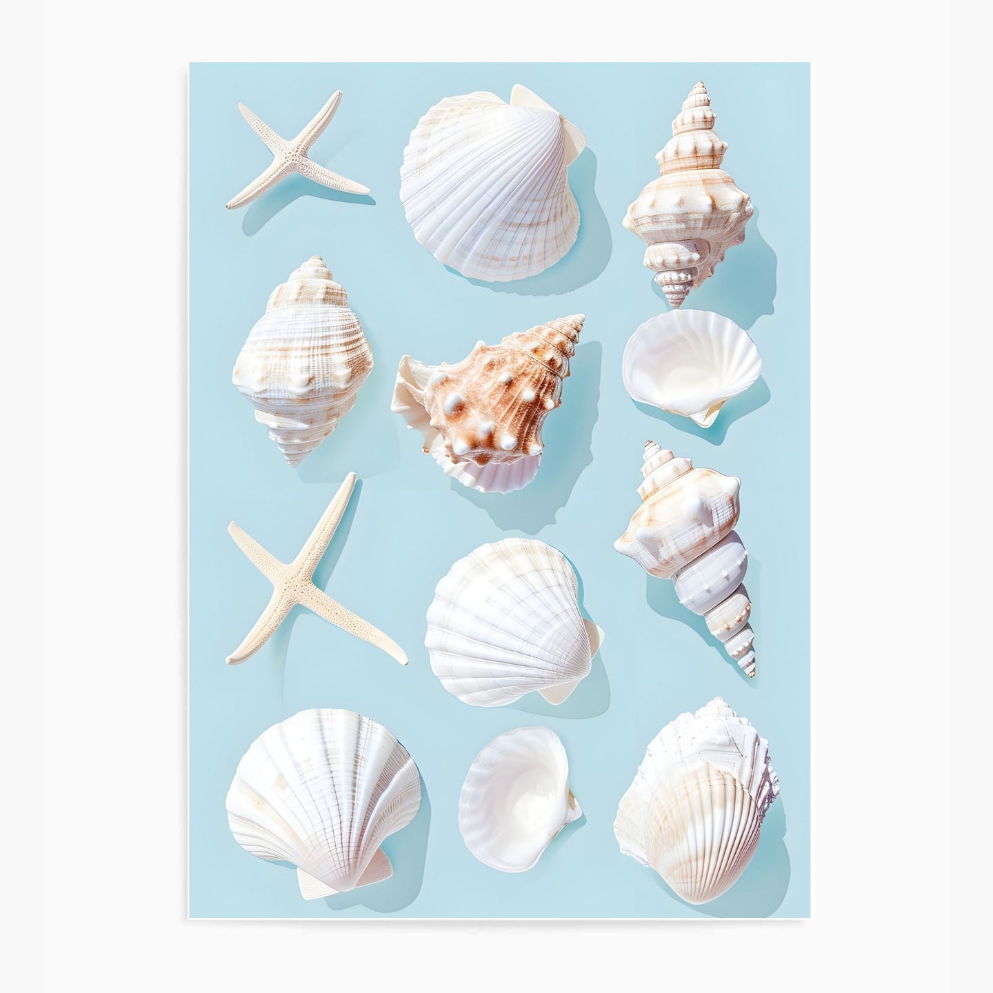 Seashells Blue | Wall Art