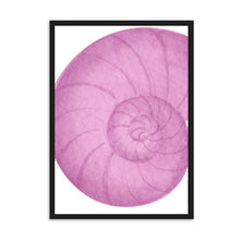 Load image into Gallery viewer, Seashell Pink I | Wall Art
