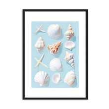 Load image into Gallery viewer, Seashells Blue | Wall Art
