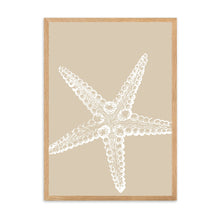 Load image into Gallery viewer, Starfish Neutral I | Wall Art
