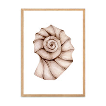 Load image into Gallery viewer, Seashell Neutral Tones II | Wall Art
