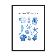 Load image into Gallery viewer, Shells Blue II | Wall Art
