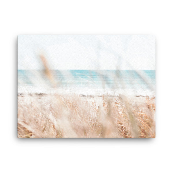 Pampas II | Canvas Print