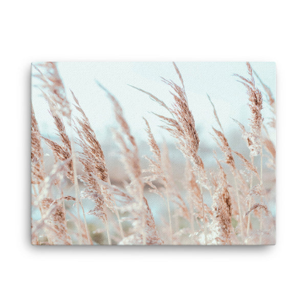 Pampas I | Canvas Print