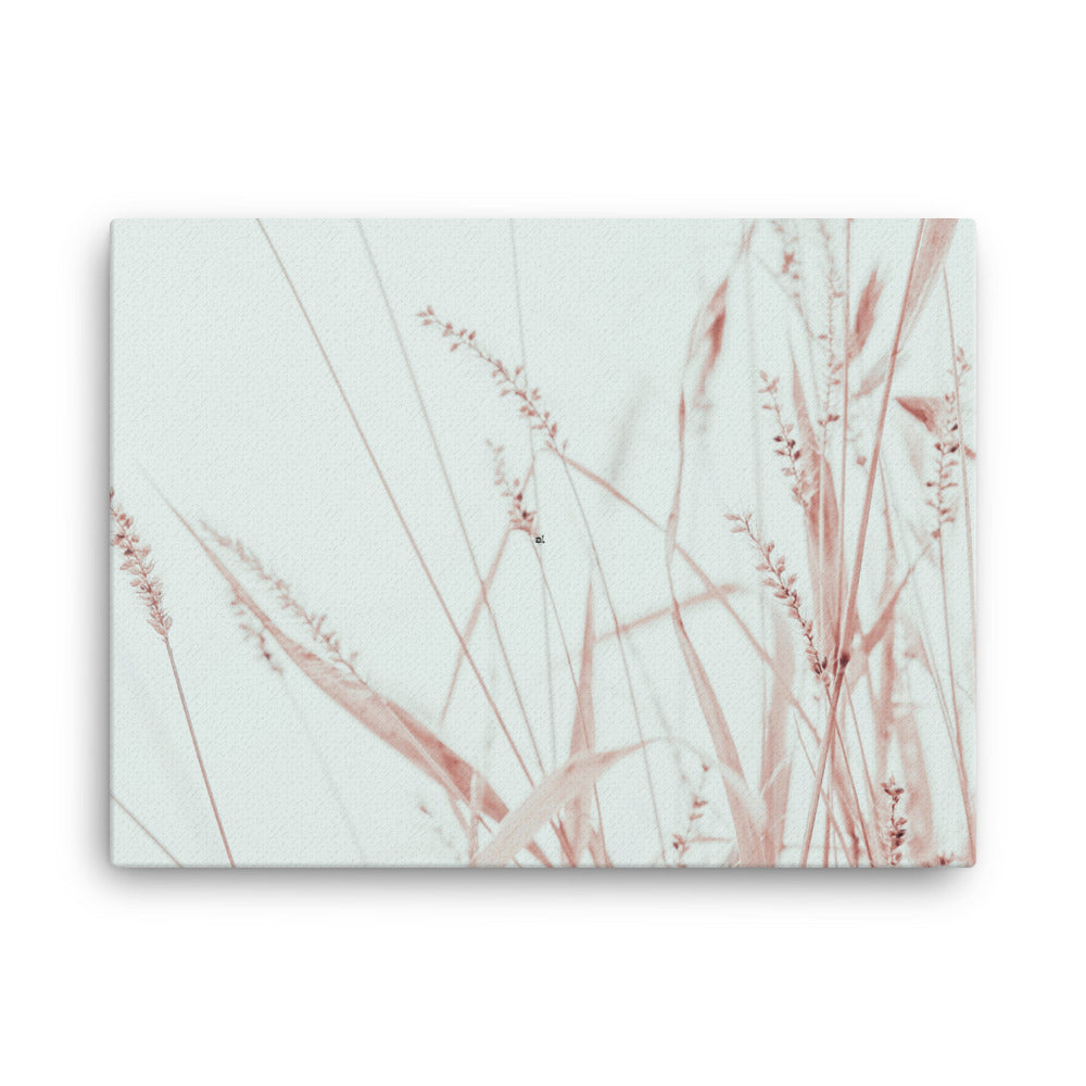 Pampas III | Canvas Print