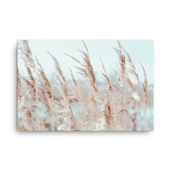 Pampas I | Canvas Print