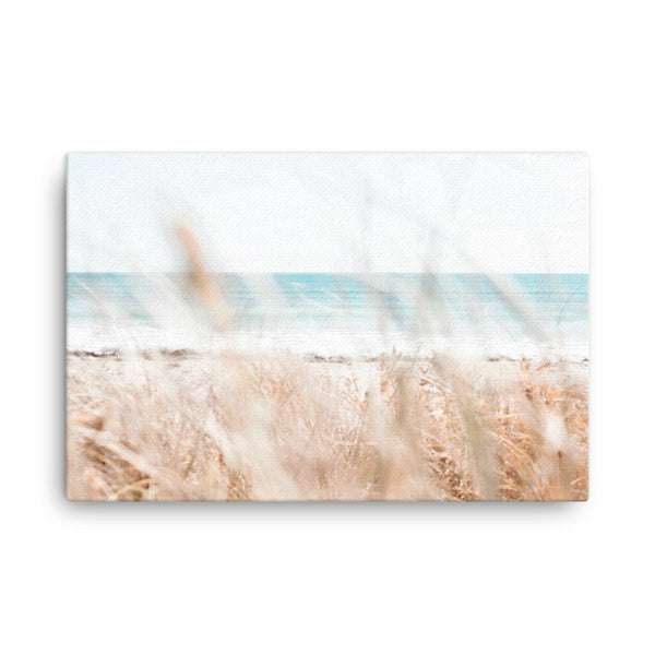 Pampas II | Canvas Print