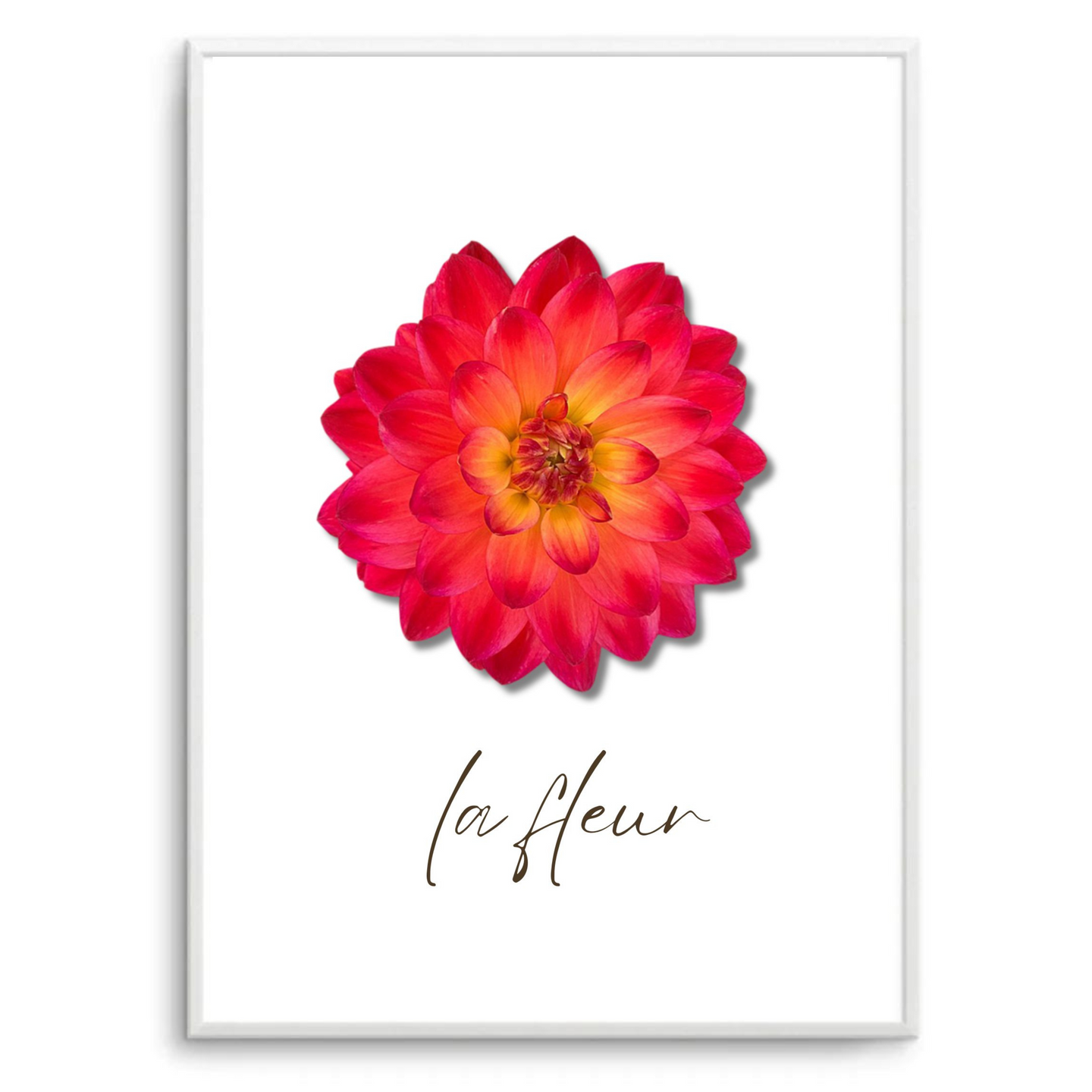 La Fleur VI | Art Print