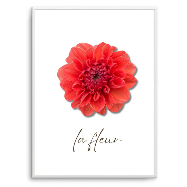 La Fleur IV | Art Print