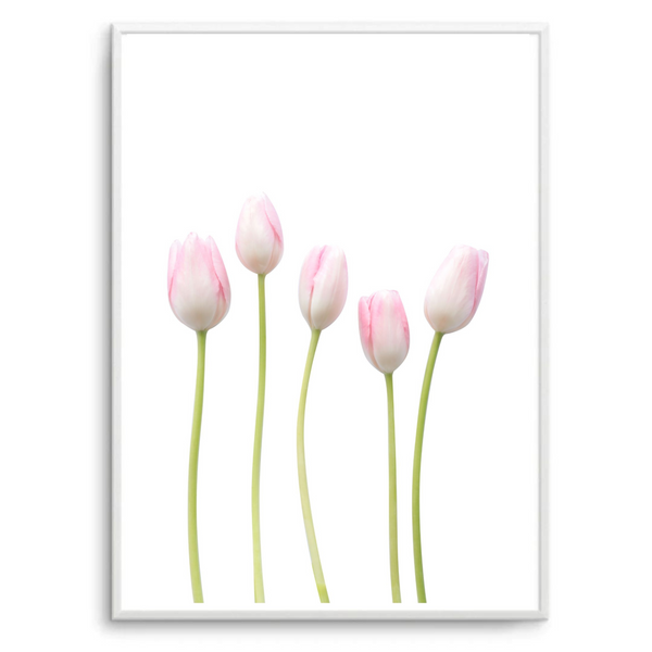 Tulips | Art Print