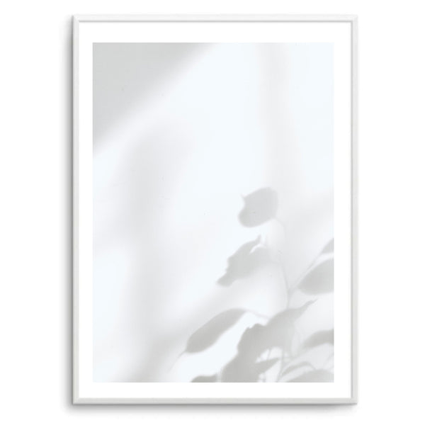 Flower Shadows II | Art Print