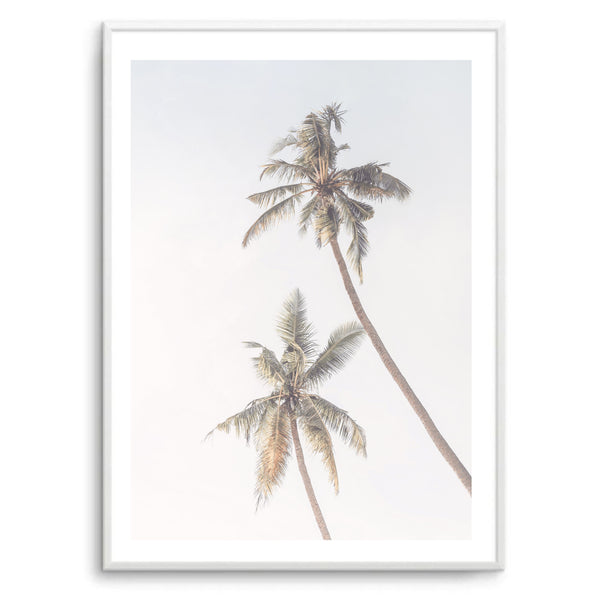 Coastal Beach Palm Tree | Art Print