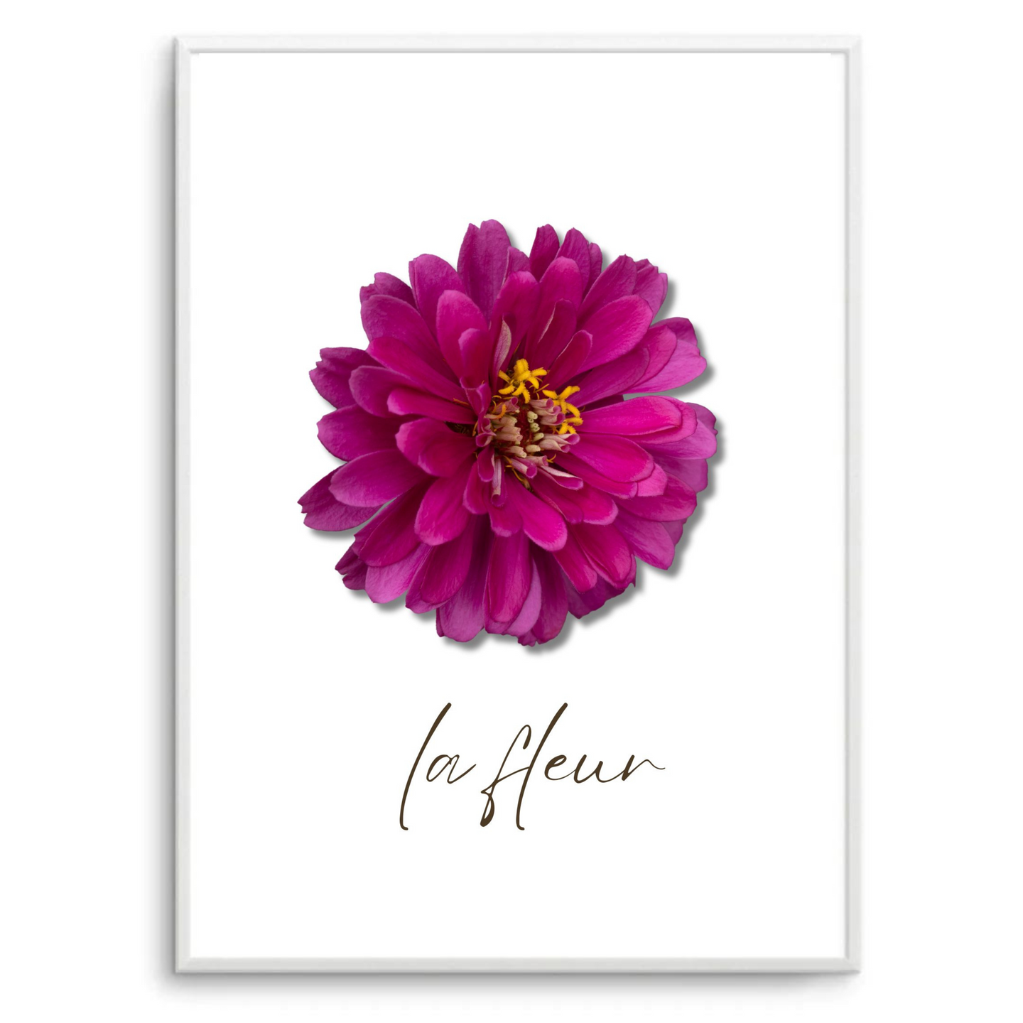 La Fleur V | Art Print