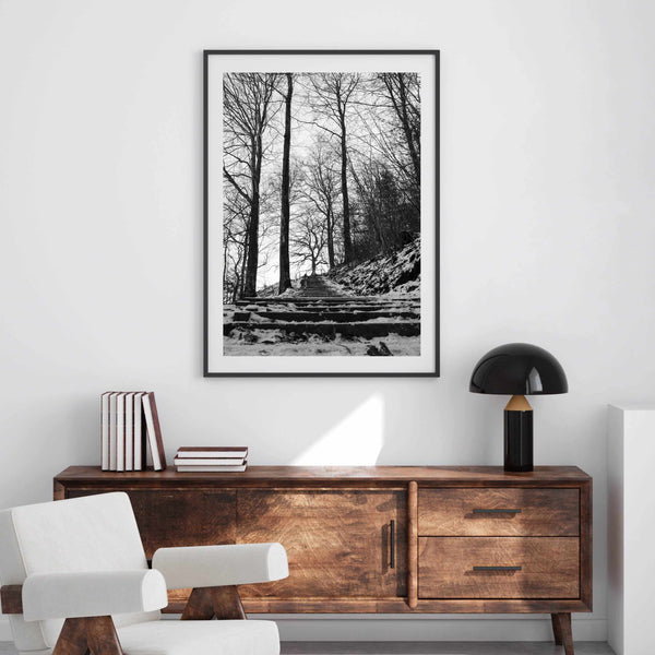 Forrest Black & White | Art Print