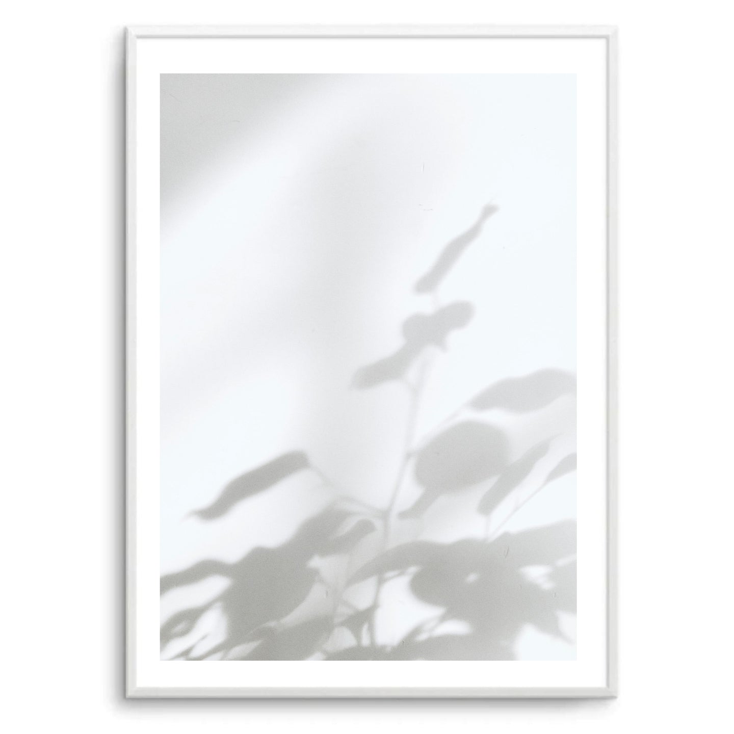 Flower Shadows I | Art Print