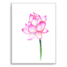 Load image into Gallery viewer, Pink Lotus Stem I | Art Print
