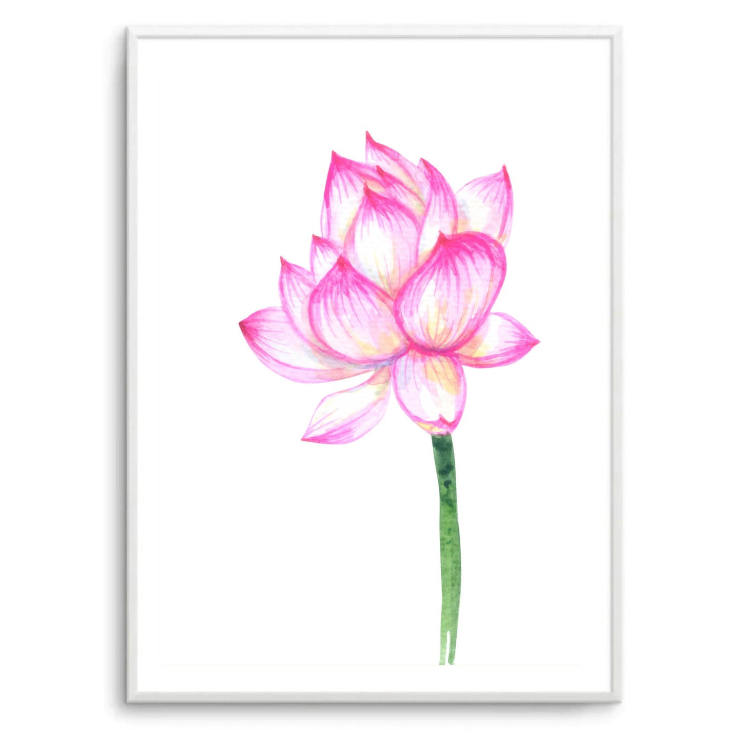 Pink Lotus Stem I | Art Print