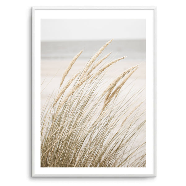 Pampas | Art Print