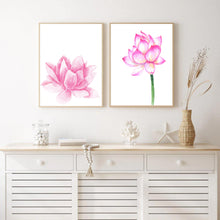 Load image into Gallery viewer, Pink Lotus Stem I | Art Print
