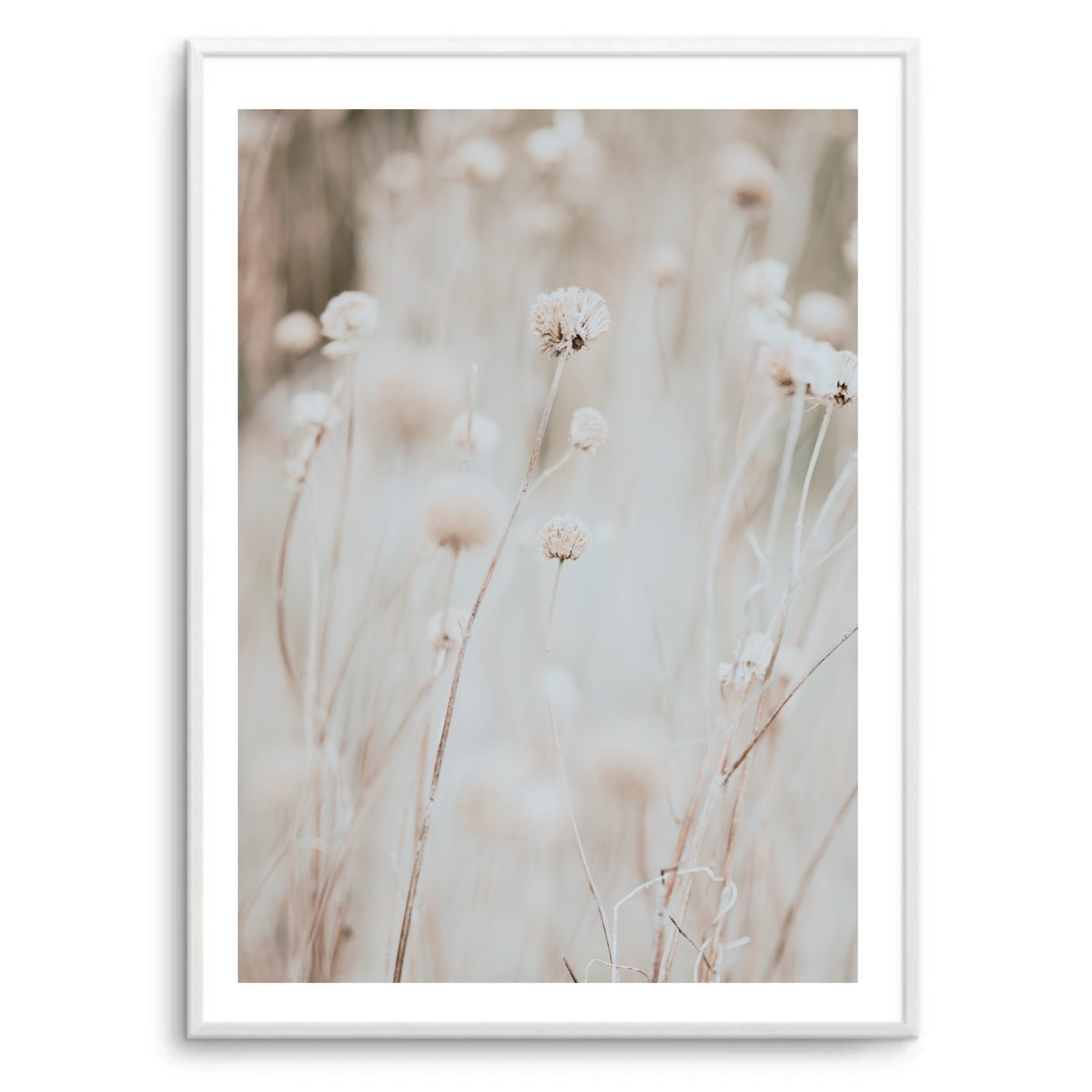 Dandelion | Art Print